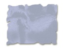 a8e29d6fdb842cecbc32e4ea39c2c7c7a90c8f91.jpg
