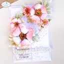 a161db9533ae10541d968739d245635c389ba4d7.png
