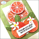 3d6c063277f7a612ae7df5e9da0851fba93e9c82.png