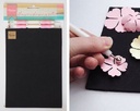542d90c94914fc23290838808096221c42f74175.jpg