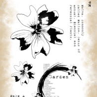 c8dcc4dfcb88b17c261901e8cf51109747c31221.jpg