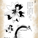 c8dcc4dfcb88b17c261901e8cf51109747c31221.jpg