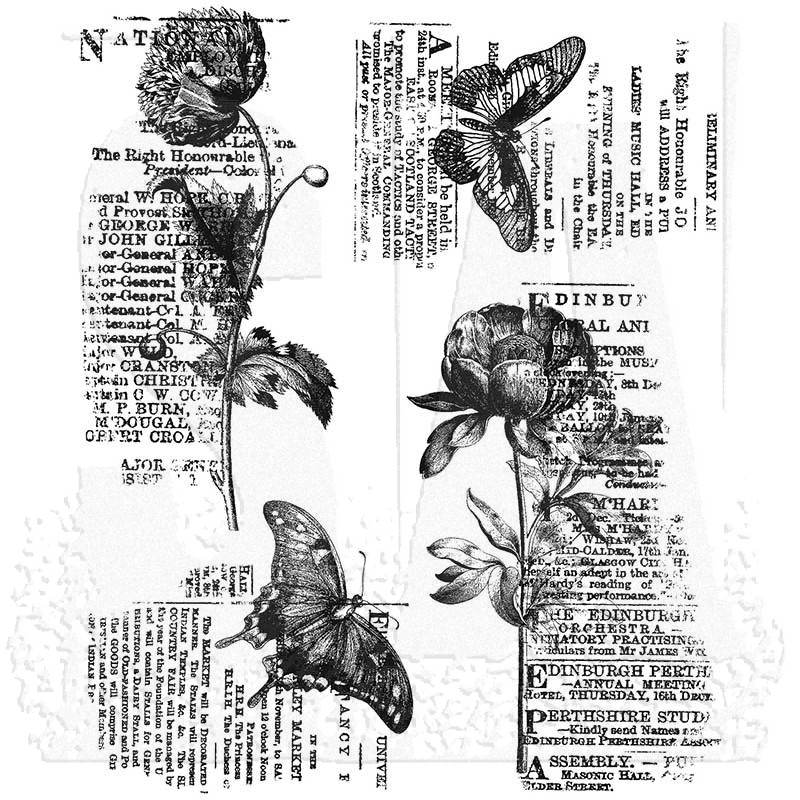 e236b54b3fb923cb5ec2cdc97205d440f58ac446.jpg