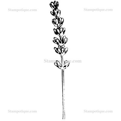 Stampotique Cling Stamp - 3043 Lavender Sprig