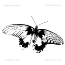 Stampotique Cling Stamp - 3018 Small Butterfly