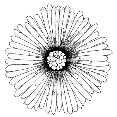 Stampotique Cling Stamp - 14057 Daisy Bloom