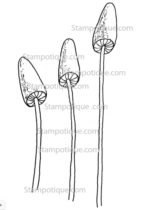 Stampotique Cling Stamp - 3125 Mushroom Trio