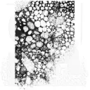 Tim Holtz Cling Stamps - CMS449 Bubbles