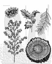 Tim Holtz Cling Stamps - CMS497 Forest Floor 2