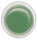 Ranger Perfect Pearls Pigment Powder - Green Patina