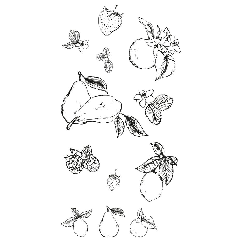 Sizzix Clear Stamps By Lisa Jones 19/Pkg - 666611 Botanical Fruit