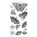 Sizzix Clear Stamps By Lisa Jones 13/Pkg - 666642 Nature Butterflies