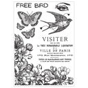 Sizzix Studio Stamps Set 6/Pkg & 3/Pkg Stencils By Cat Kerr - 666758 The Visiter