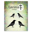 Lavinia Clear Stamps - LAV756 Bird Collection