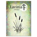 Lavinia Clear Stamps - LAV003 Bulrushes