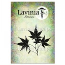 Lavinia Clear Stamps - LAV039 Maple Leaf