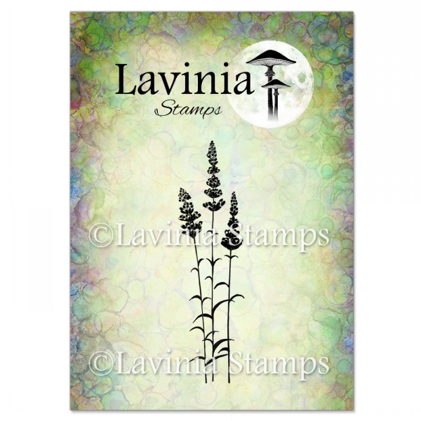 Lavinia Clear Stamps - LAV093 Lavender