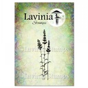 Lavinia Clear Stamps - LAV093 Lavender