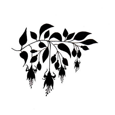 Lavinia Clear Stamps - LAV157 Fuchsia