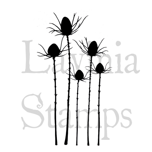 Lavinia Clear Stamps - LAV411 Silhouette Thistle