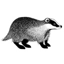 Lavinia Clear Stamps - LAV443 Badger