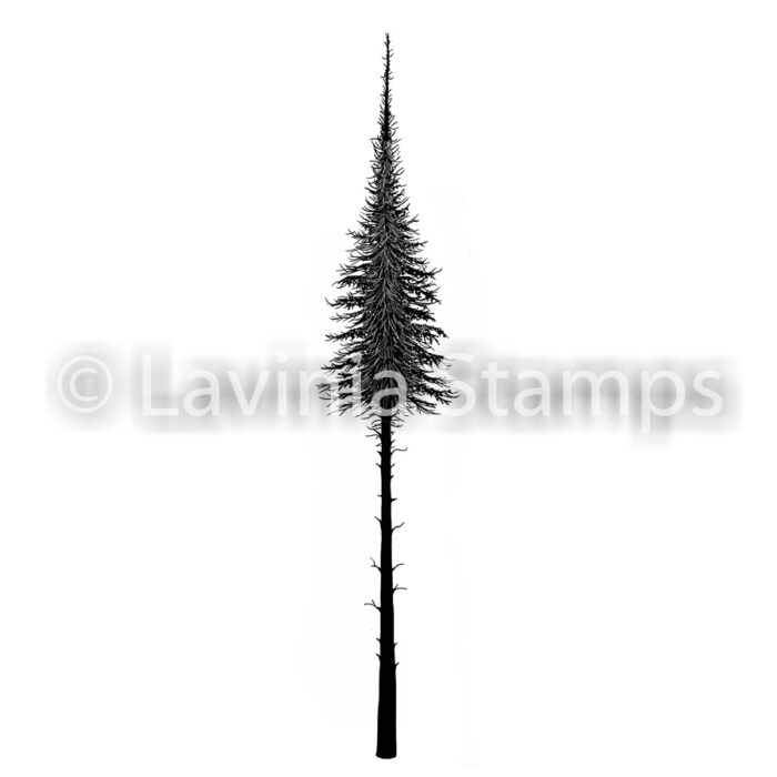 Lavinia Clear Stamps - LAV478 Fairy Fir Tree