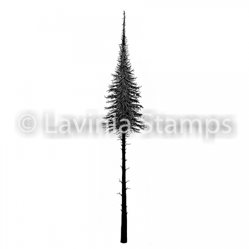 Lavinia Clear Stamps - LAV489s Fairy Fir Tree Small