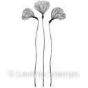 Lavinia Clear Stamps - LAV547 Fairy Orchid Set