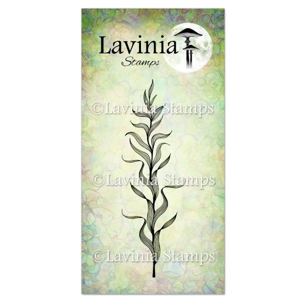 Lavinia Clear Stamps - LAV625 Marine Kelp Stamp