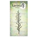 Lavinia Clear Stamps - LAV625 Marine Kelp Stamp
