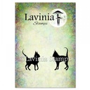 Lavinia Clear Stamps - LAV909 Hocus & Pocus