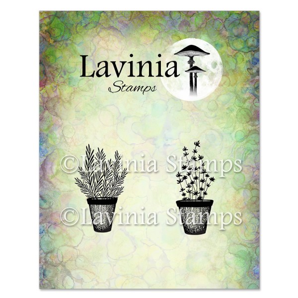 Lavinia Clear Stamps - LAV948 Rosemary & Thyme Pots