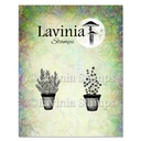 Lavinia Clear Stamps - LAV948 Rosemary & Thyme Pots