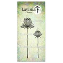 Lavinia Clear Stamps - LAV654 Lilium Set