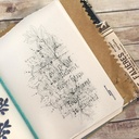 Elizabeth Craft Designs Clear Stamps - Words & Layers