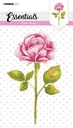 Studio Light Clear Stamps A5 - Essentials nr. 428 Roos