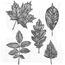 Tim Holtz Cling Stamps - CMS467 Sketchy Leaves