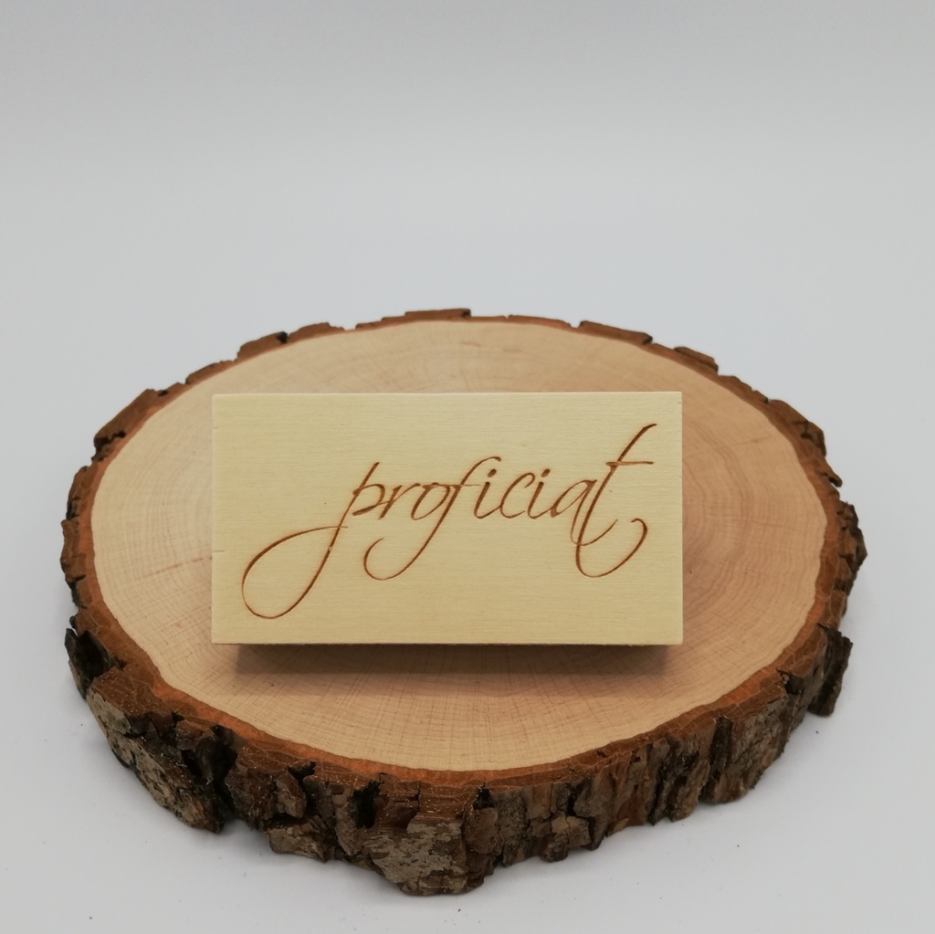 a Lut of stamps Wood Stamp - aLos004Sm Proficiat Script