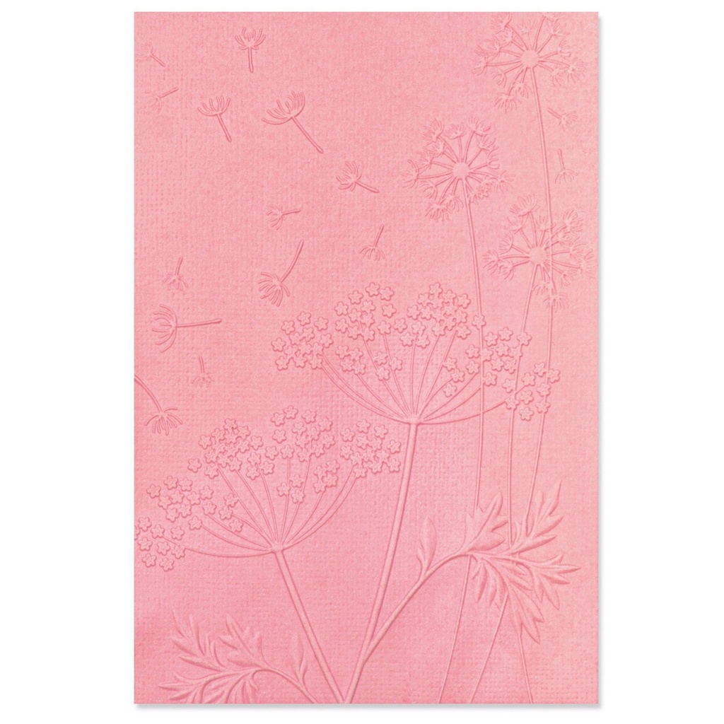 Sizzix 3-D Textured Impressions Embossing Folder By Kath Breen - Summer Wishes