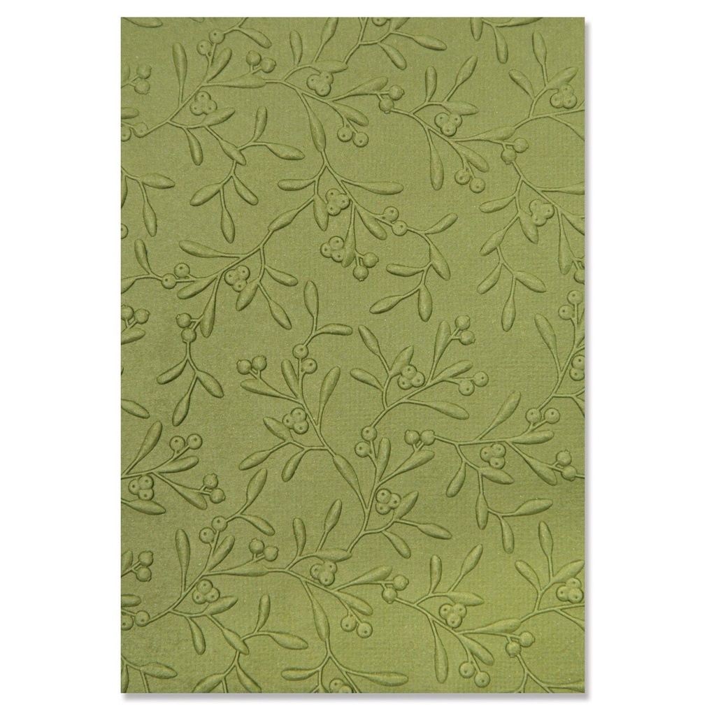 Sizzix 3-D Textured Impressions Embossing Folder By Kath Breen - Delicate Mistletoe