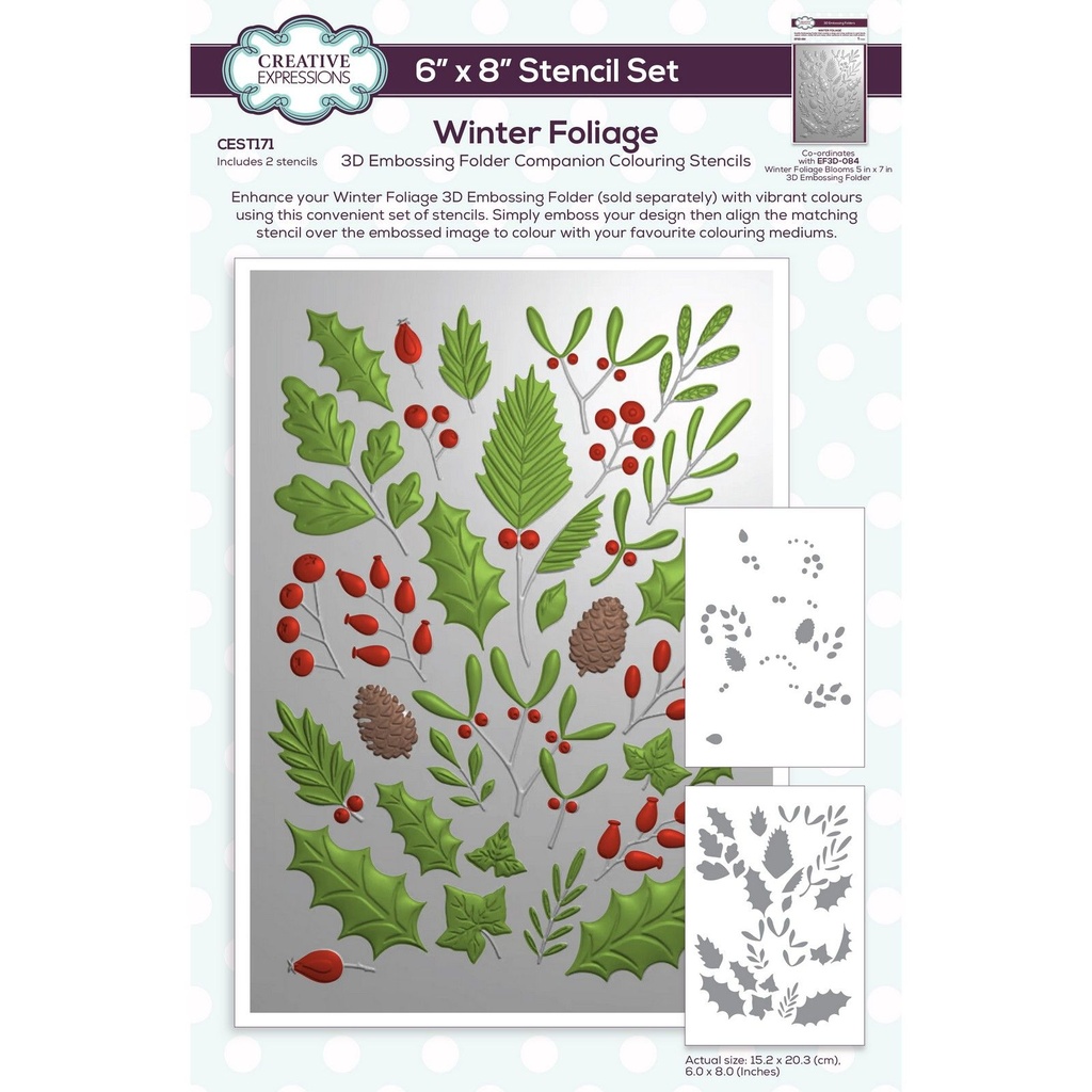 Creative Expressions Stencils - CEST171 Winter Foliage Companion Colouring Stencil