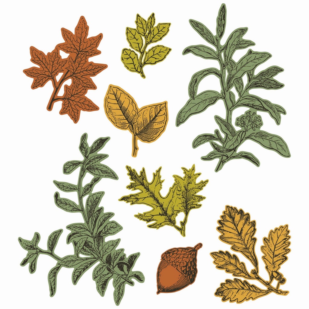 [180271] Sizzix Clear Stamps A5 with Framelits Die 16/Pkg - 666706 Forever Leaves