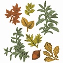 Sizzix Clear Stamps A5 with Framelits Die 16/Pkg - 666706 Forever Leaves
