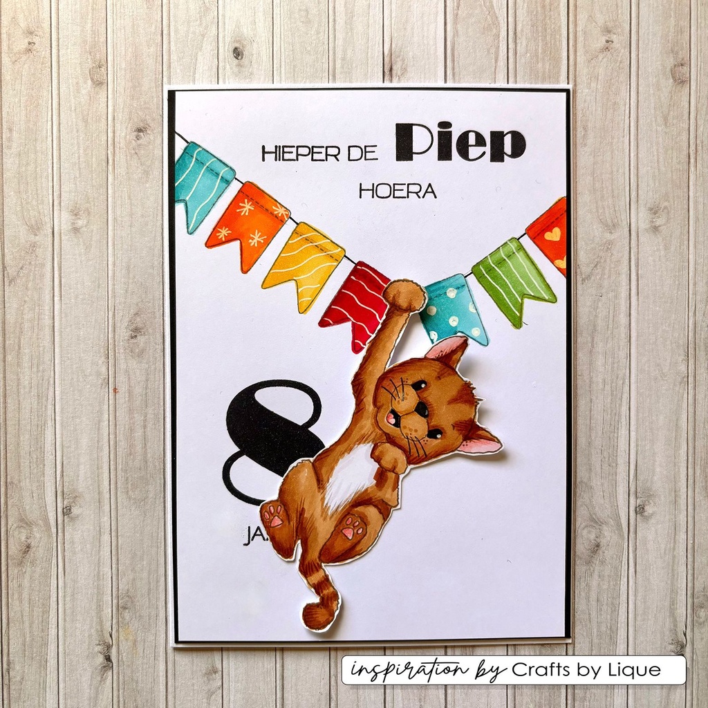 Vaessen Creative Clear Stamps 12/Pkg By Carla Creates - Odey's Birthday Party 2