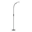 Light and Vision Lumina Floor Lamp Black
