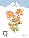 Elizabeth Craft Designs Cutting Dies - 2098 Wild Flower 3