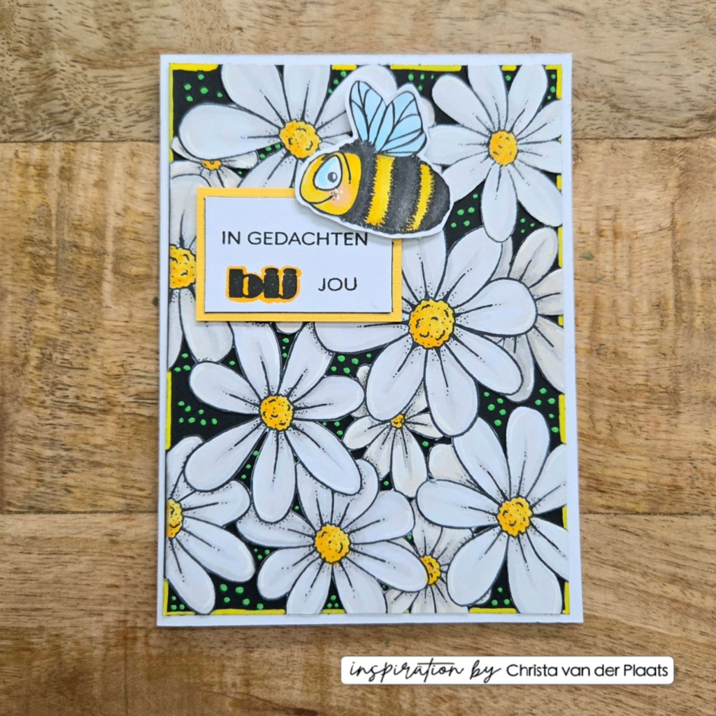 [182196] Vaessen Creative Clear Stamps By Carla Creates - CAR0310 Background Flowers