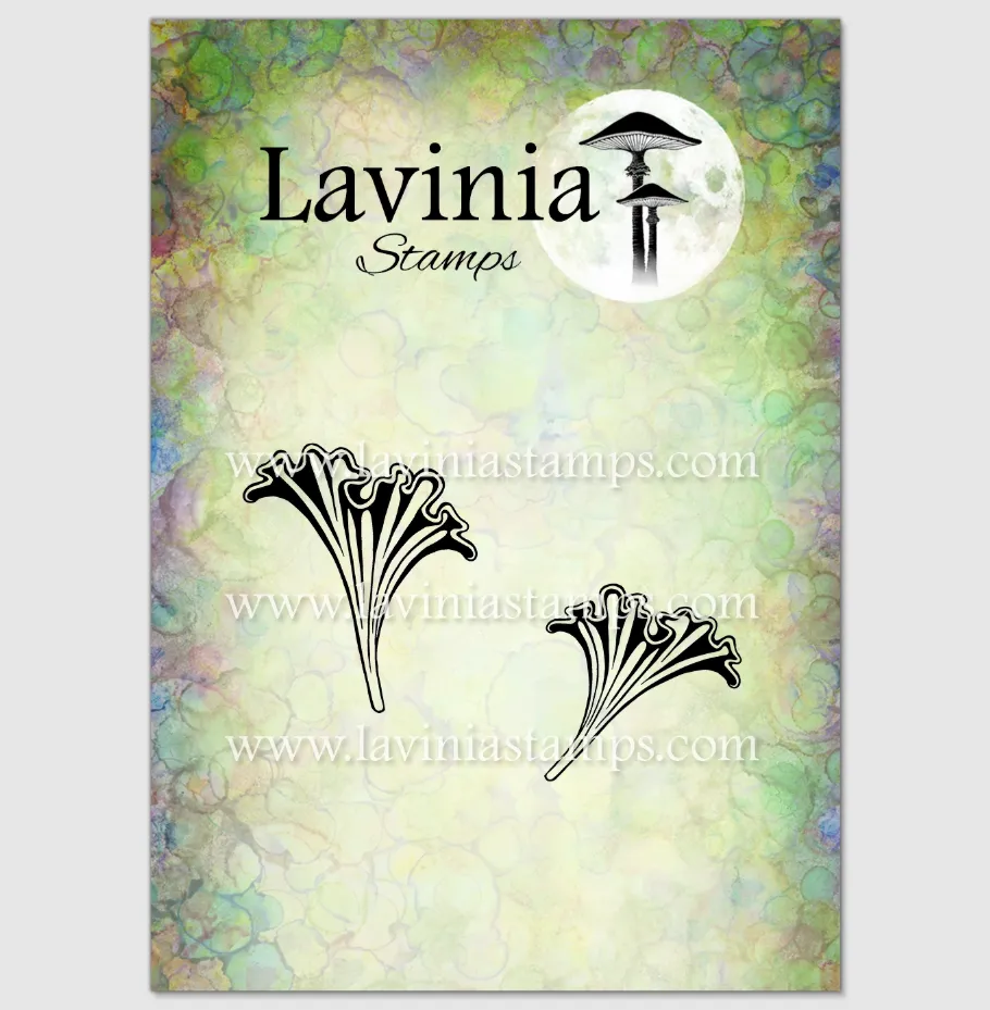 Lavinia Clear Stamps - LAV1039 Curlshade