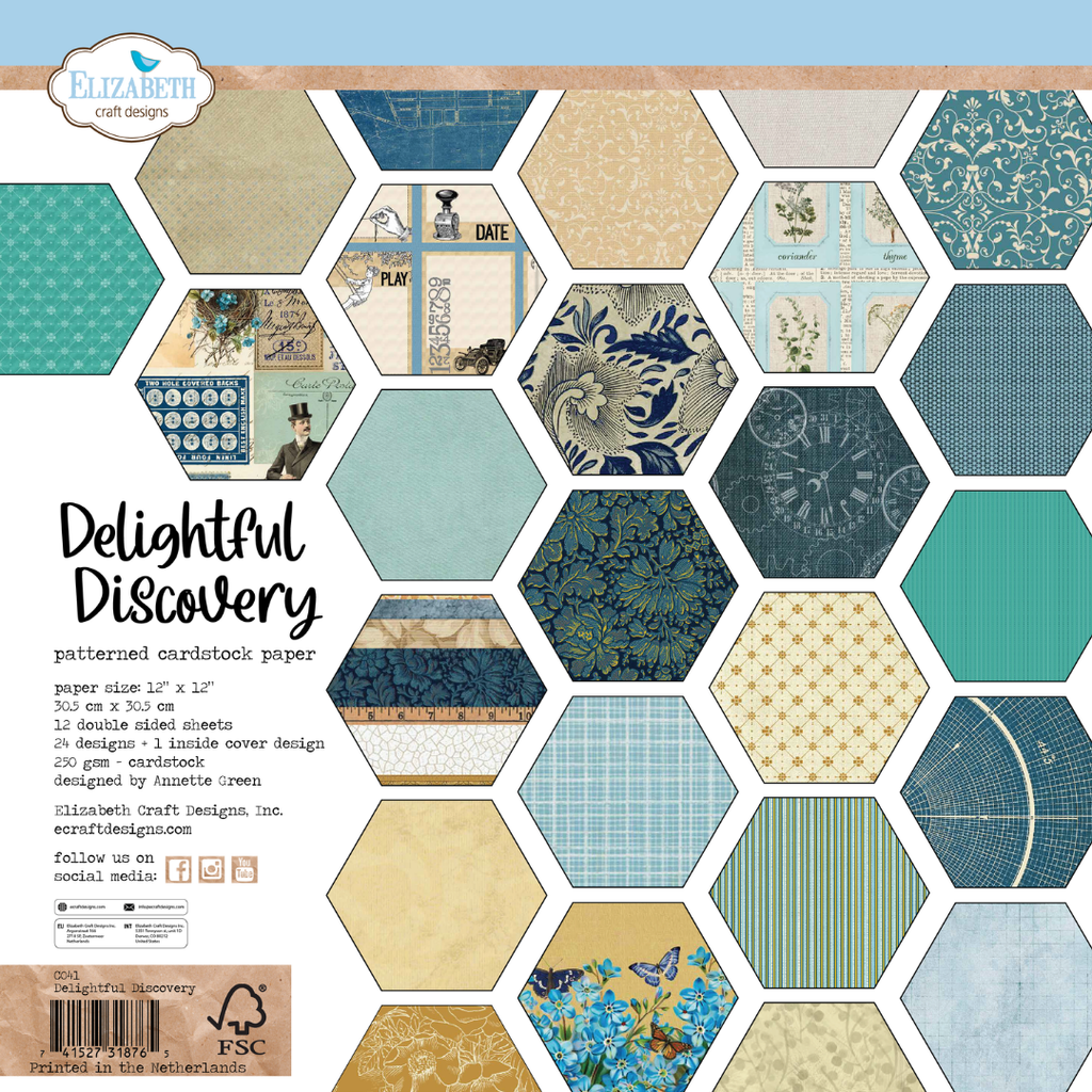 [182499] Elizabeth Craft Designs Patterned Cardstock Paper 12x12" - C041 Delightful Discovery