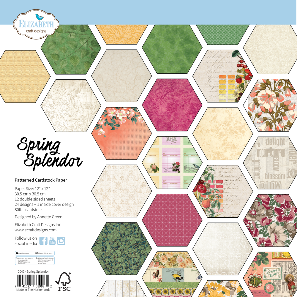 Elizabeth Craft Designs Patterned Cardstock Paper 12x12" - C042 Spring Splendor